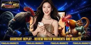 Cockfight Replay - Review Match Moments And Results