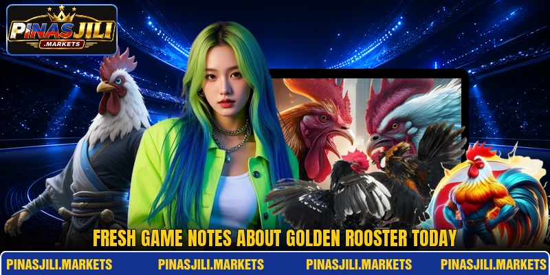 Fresh game notes about golden rooster today Fresh game notes about golden rooster today