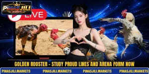 Golden Rooster - Study Proud Lines And Arena Form Now