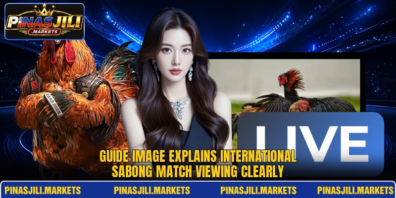 Guide image explains international sabong match viewing clearly Guide image explains international sabong match viewing clearly