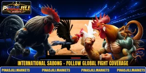 International Sabong - Follow Global Fight Coverage