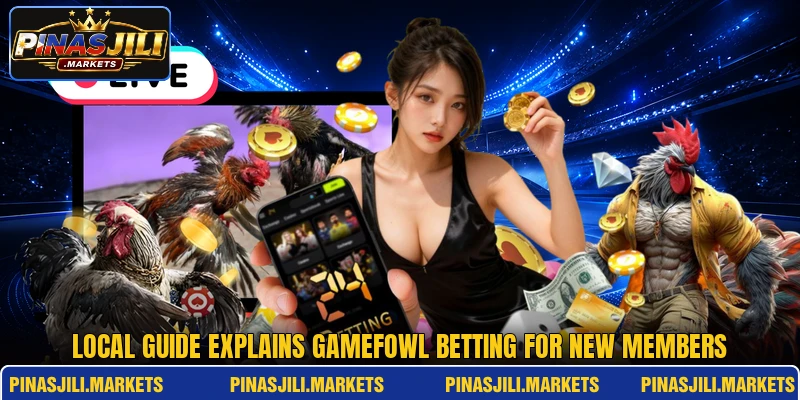 Local guide explains gamefowl betting for new members Local guide explains gamefowl betting for new members
