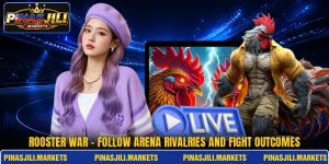 Rooster War - Follow Arena Rivalries And Fight Outcomes